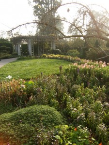 Huntington Botanical Gardens in San Marino, California