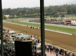 Santa Anita Race Track - Arcadia, California